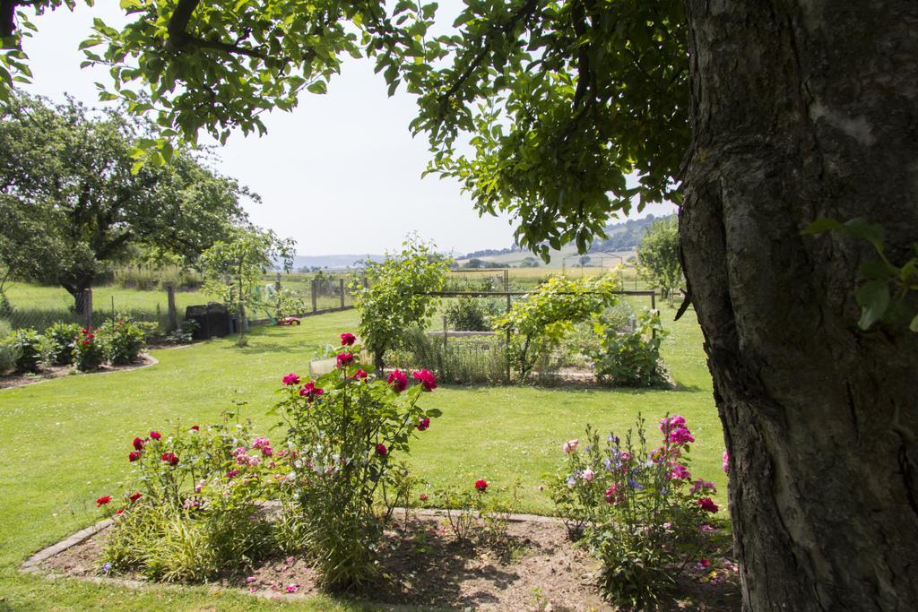 Domizil Im Weserbergland Dolme Kültér fotó